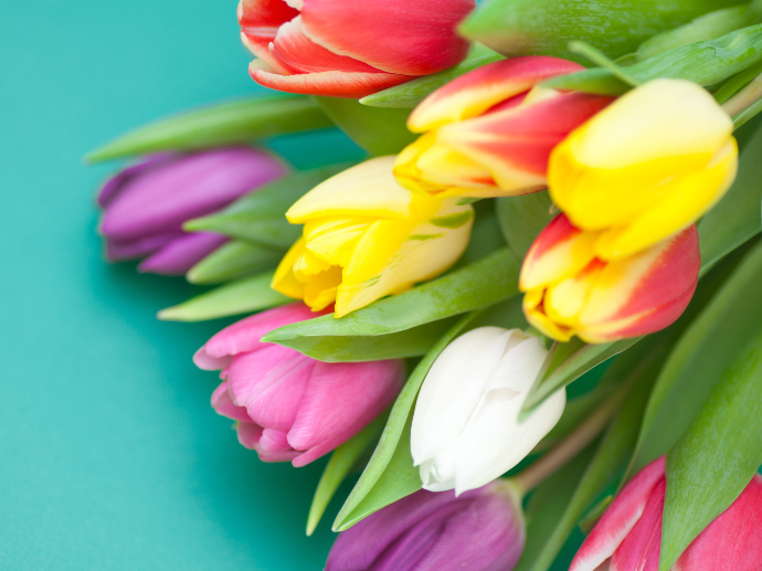 Ramo de tulipanes multicolor