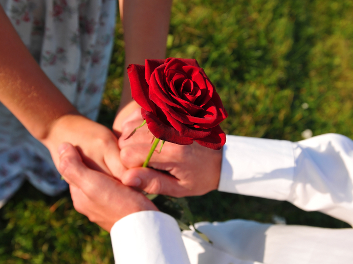 Foto de rosa para san valentin