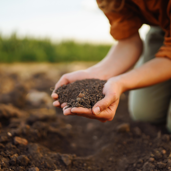 tierra para plantación