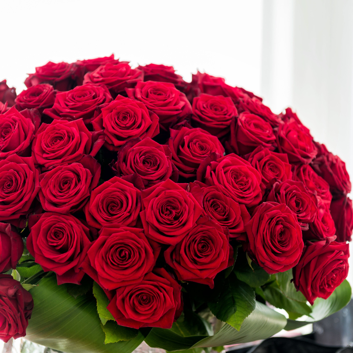 rosas rojas