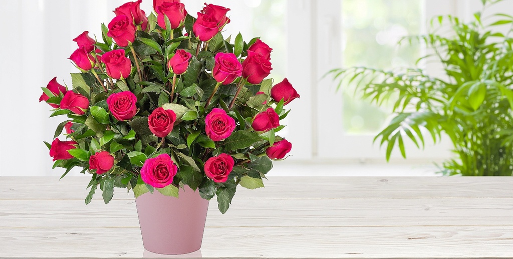 Tres Docenas De Rosas Rosadas
