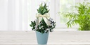 Arreglo de tulipanes blancos