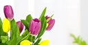 Tulipanes Para Mamá Con Globo Feliz  Día Mamá