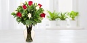 Mix de rosas rojas y blancas