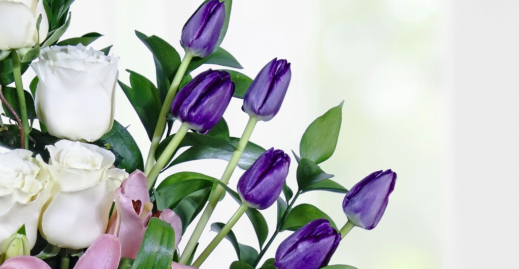 Primavera Con Estilo Tulipan Mediano