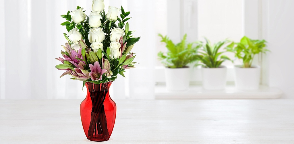 Primavera Con Estilo Mediano