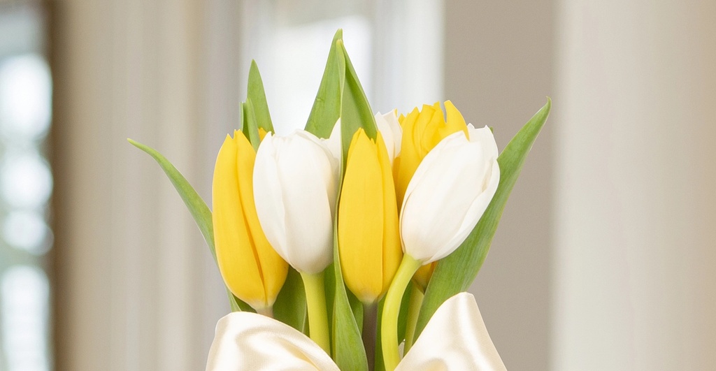 Arreglo de tulipanes bienvenue