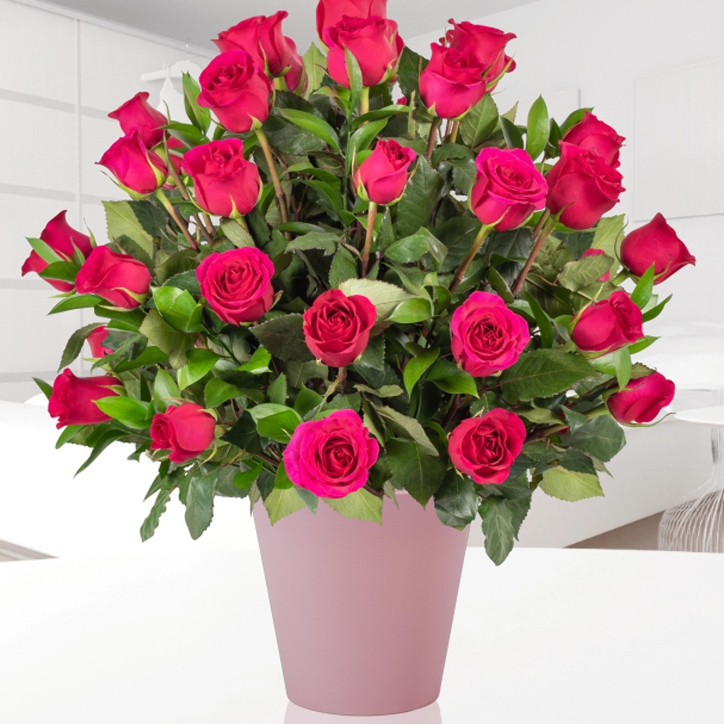Tres Docenas De Rosas Rosadas
