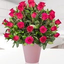Tres Docenas De Rosas Rosadas